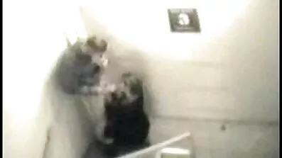 Paret har en våldsam knulla porr gratis video på soffan i en flyttbar hydda